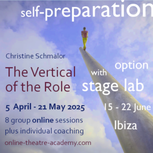 online workshop + stage lab